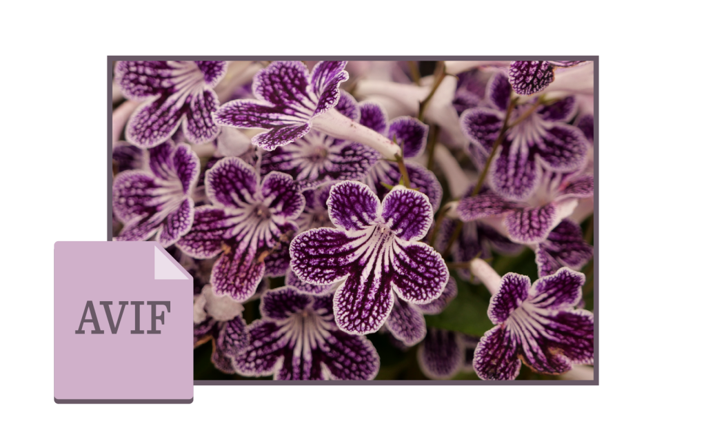 image AVIF